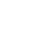 Explore The Concrete Jungle